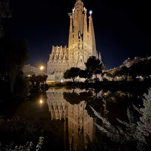 Photo #13219566