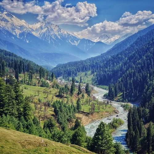Photo #13219607