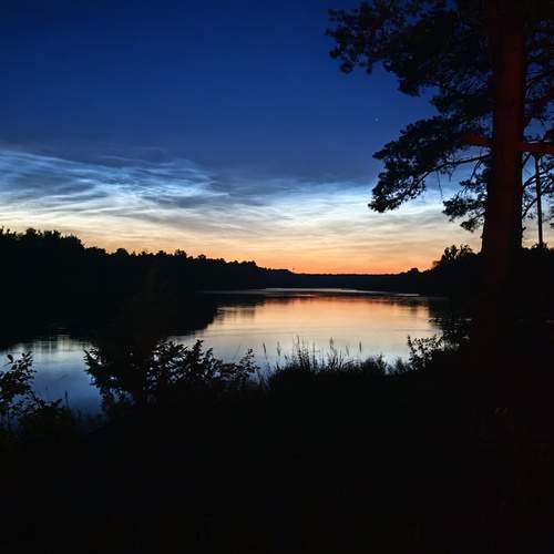Photo #13219665