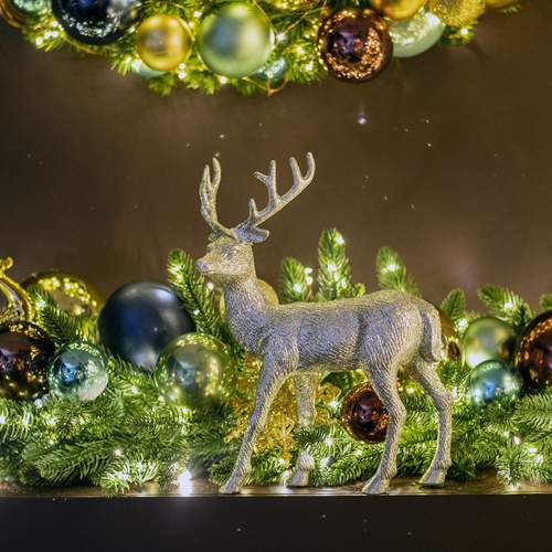 Photo #13219687