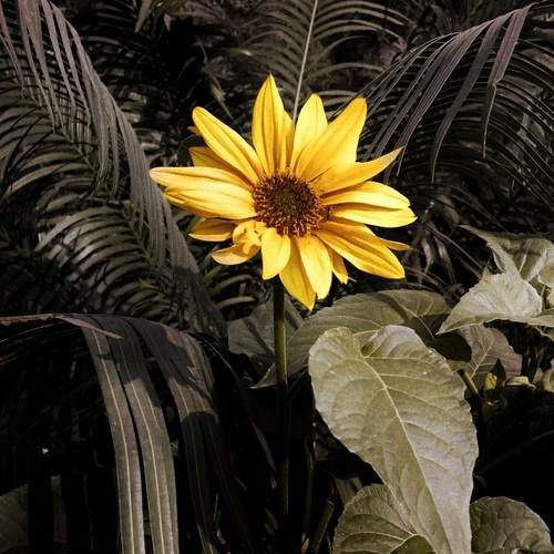 Photo #13219783