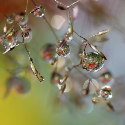 Photo #13219799