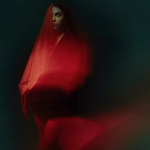 Photo #13219811