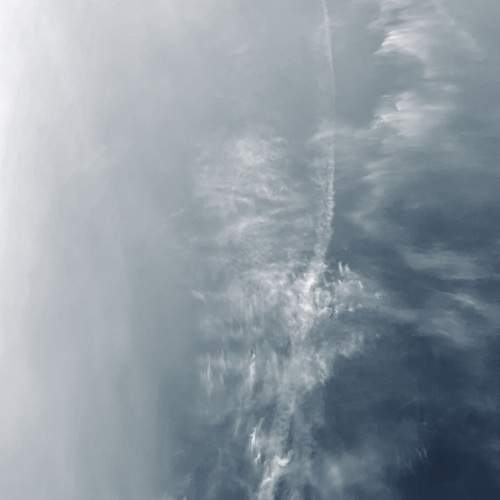 Photo #13219857