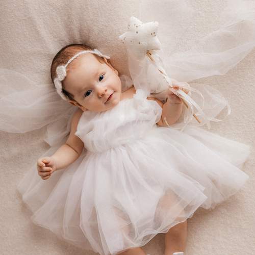 Photo #13219875