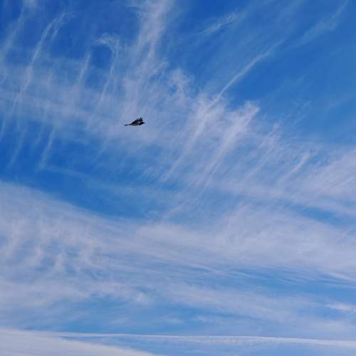 Photo #13219914