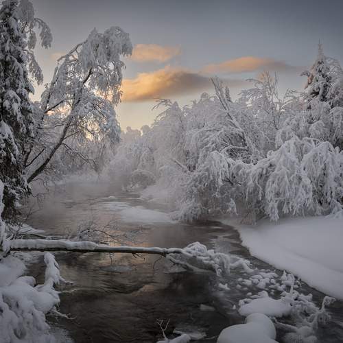 Фотография #13219921