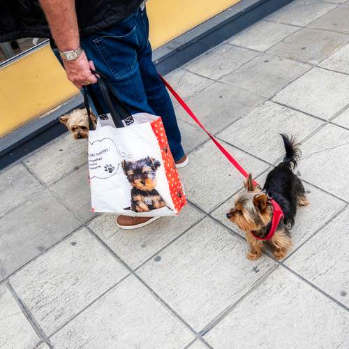 Photo #13219936
