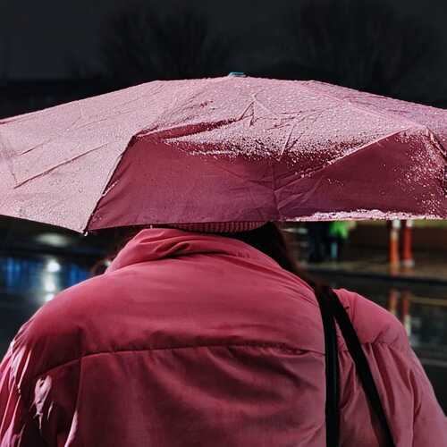 Photo #13220010