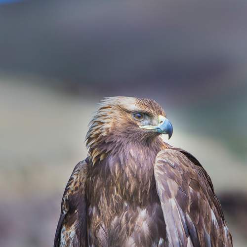 Фотография #13220198