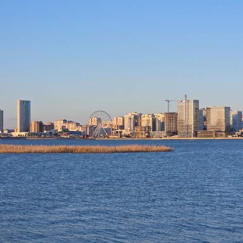 Photo #13220235