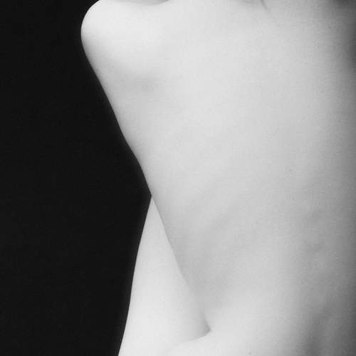 Photo #13220263
