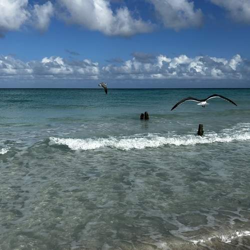 Photo #13220269