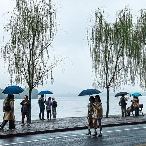 Photo #13220284