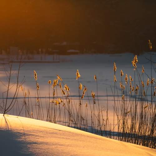 Photo #13220379