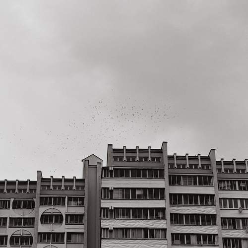 Photo #13220417