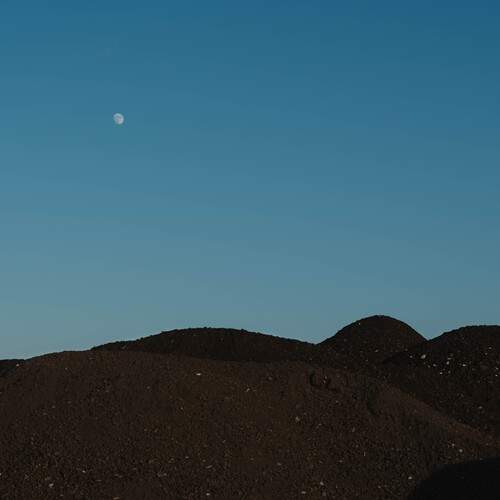 Photo #13220421