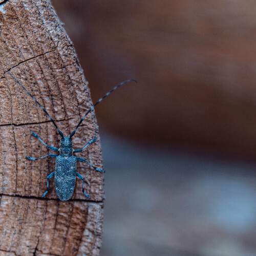Photo #13220468