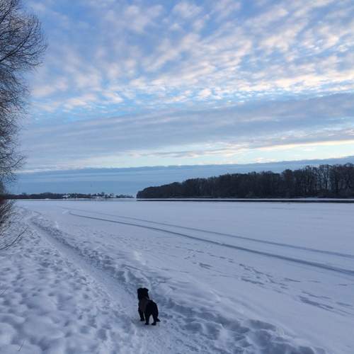 Photo #13220577