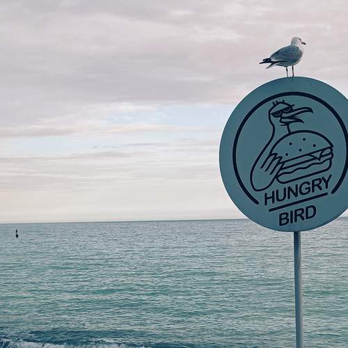 Photo #13220676