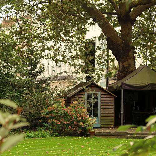 Photo #13220803