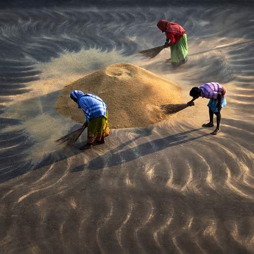 Photo #13220855