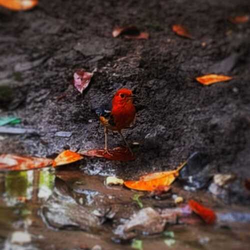 Photo #13221052