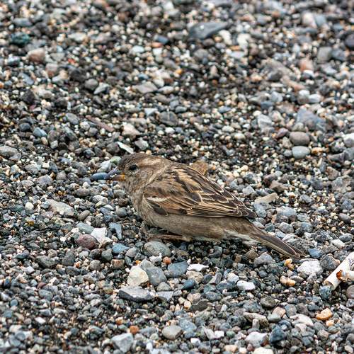 Photo #13221076