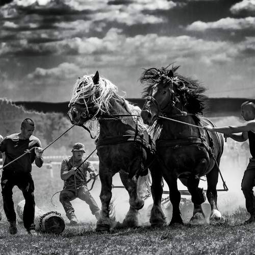 Photo #13221123