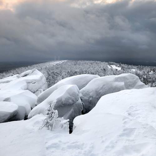 Photo #13221169