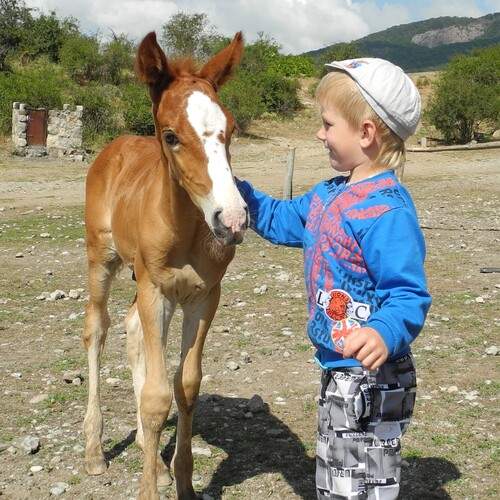 Photo #13221190