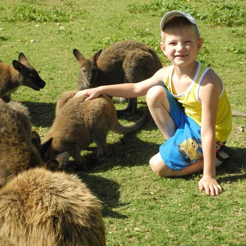 Photo #13221191