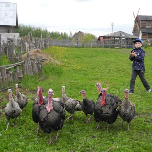 Photo #13221195