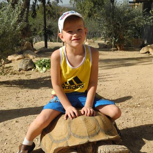 Photo #13221331
