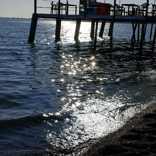 Photo #13221347