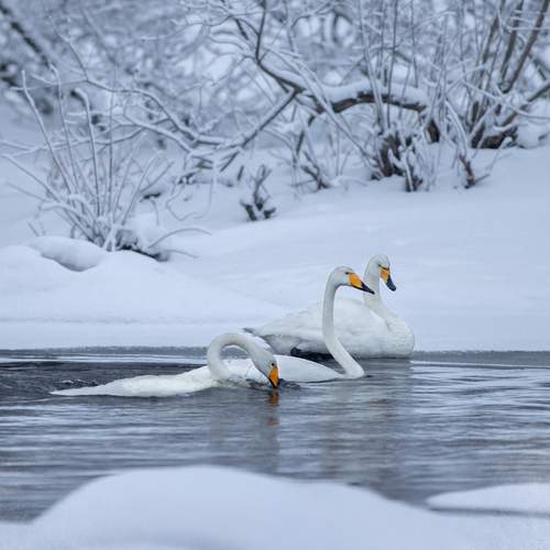 Фотография #13221349