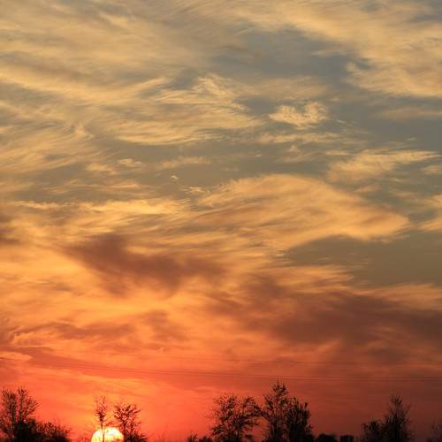 Photo #13221393
