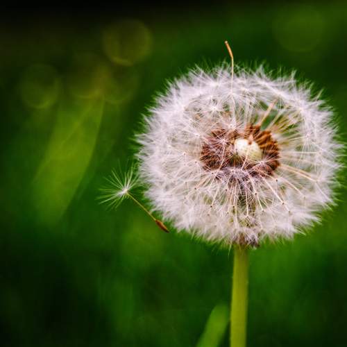 Photo #13221460