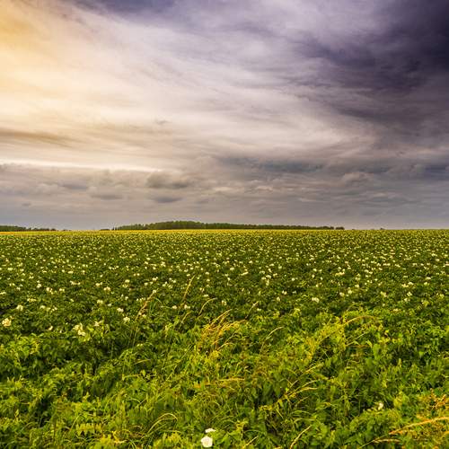 Photo #13221497