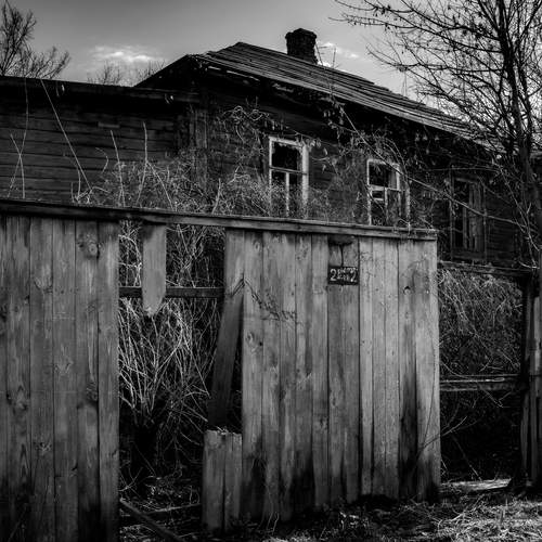 Photo #13221579