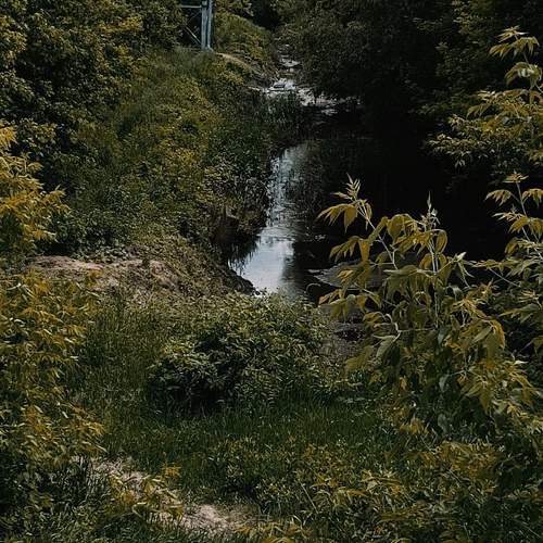 Photo #13221794