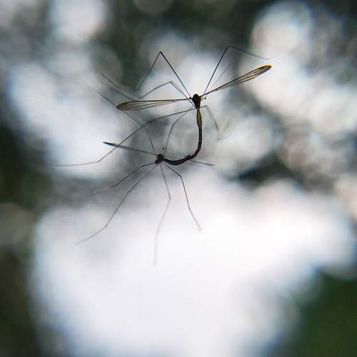 Photo #13221796