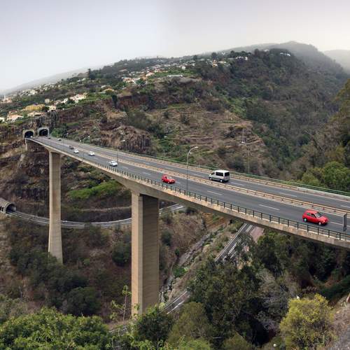 Photo #13221955