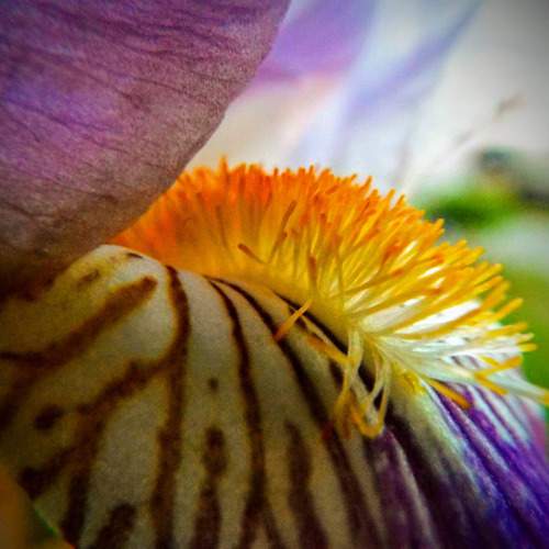 Photo #13222096