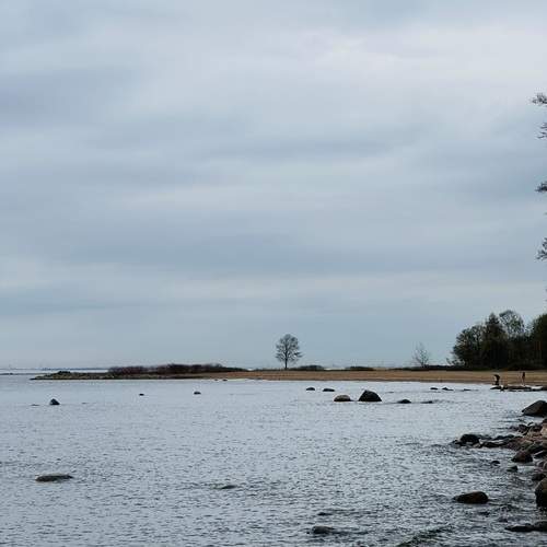 Photo #13222150