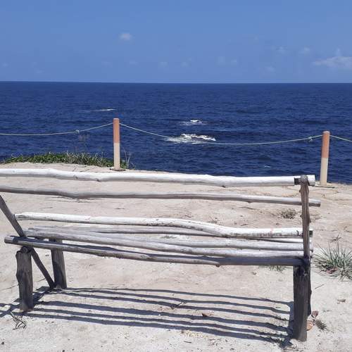 Photo #13222344