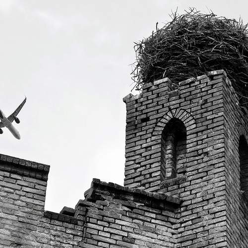 Photo #13222446