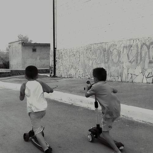 Photo #13222503