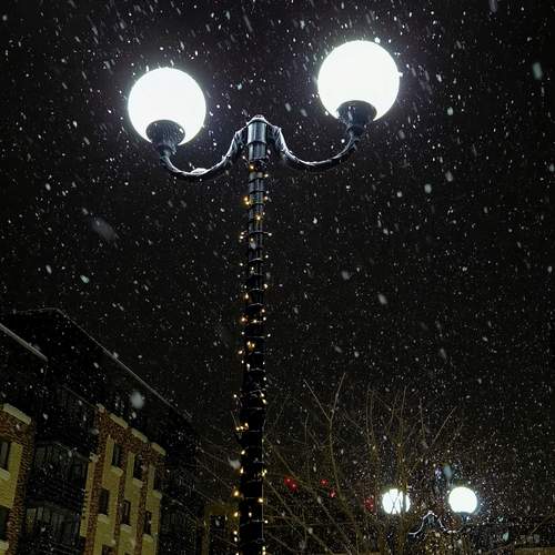 Photo #13222530