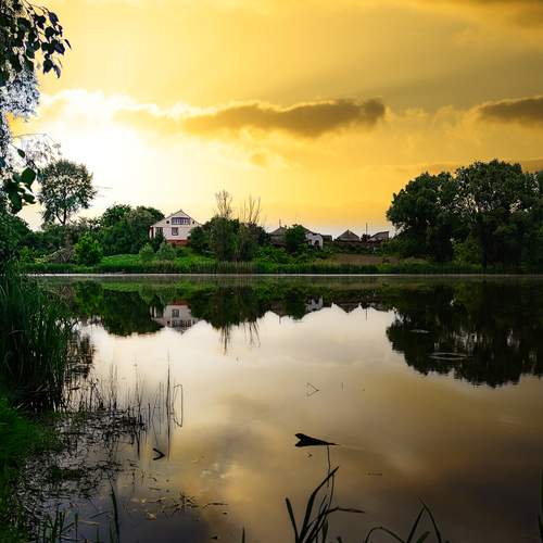 Photo #13222541